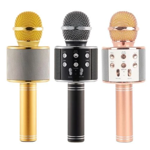 POLYGOLD PG-112 KARAOKE MİKROFON