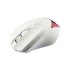 SWAN SONG SS-M204-D KABLOSUZ MOUSE BEYAZ
