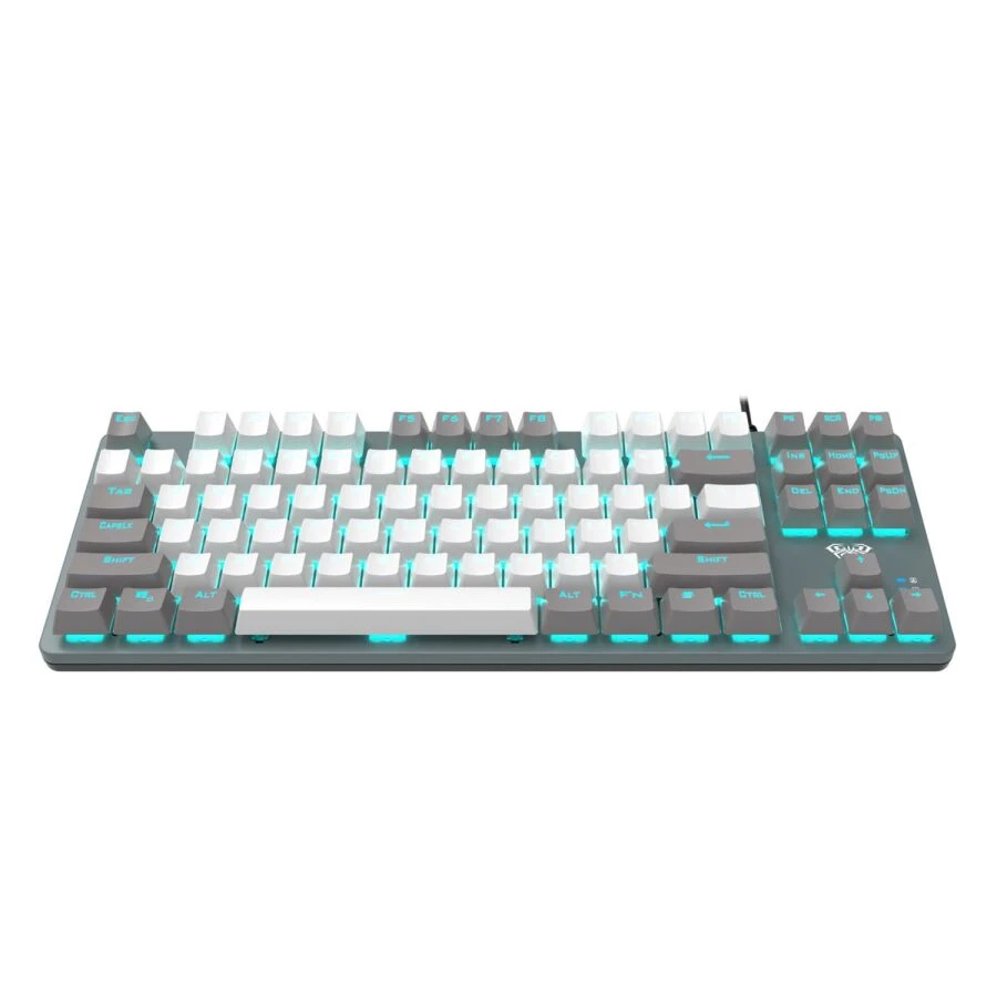 Aula F3287 Blue Switch Kablolu Mekanik Oyuncu Klavyesi