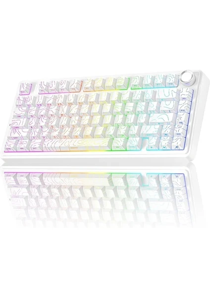 Aula F75 Mekanik RGB TKL Seiya Switch Kablosuz Makrolu Hot Swap Gaming Klavye Desenli Beyaz