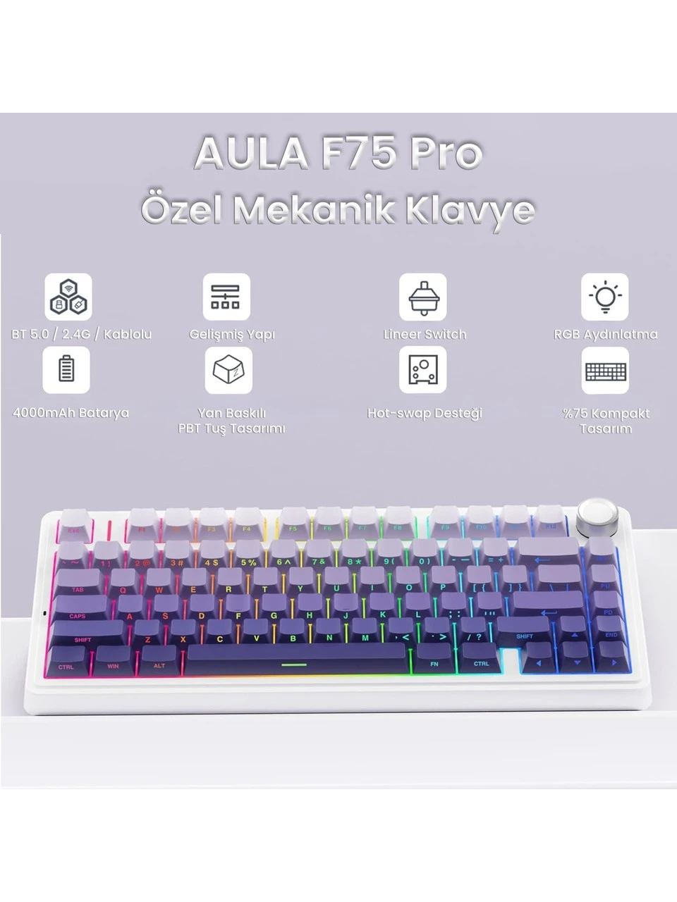 Aula F75 Mekanik RGB TKL Seiya Switch Kablosuz Makrolu Hot Swap Gaming Klavye Gradyan Mor