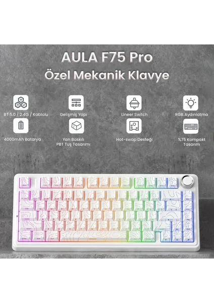 Aula F75 Mekanik RGB TKL Seiya Switch Kablosuz Makrolu Hot Swap Gaming Klavye Desenli Beyaz