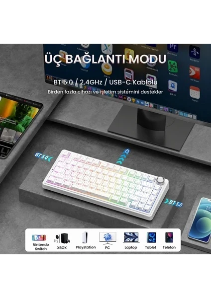 Aula F75 Mekanik RGB TKL Seiya Switch Kablosuz Makrolu Hot Swap Gaming Klavye Desenli Beyaz