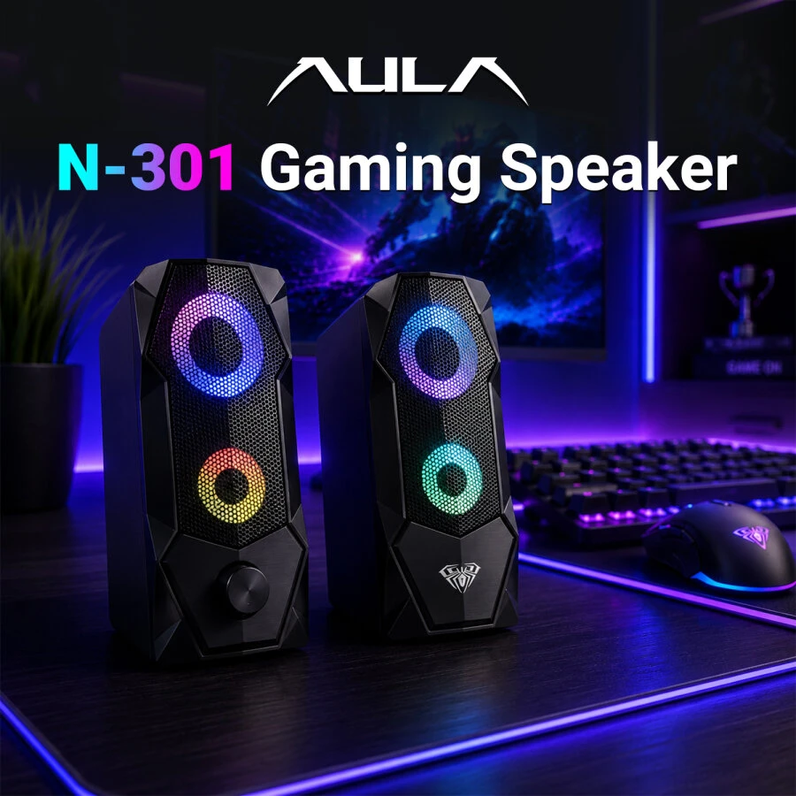 Aula N-301 1+1 10 W Hoparlör