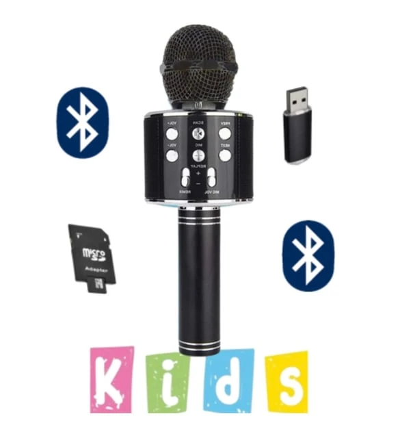 BLİC BLS-25 WIRELESS MICROPHONE KARAOKE