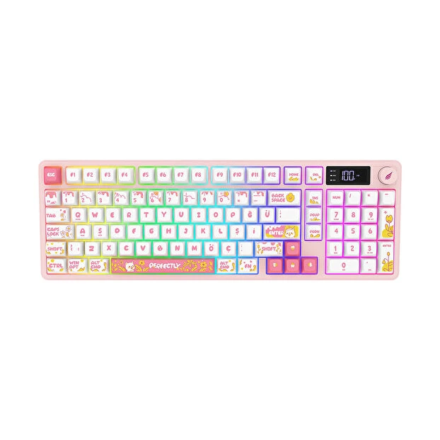 Hawk Gaming HK258 Beyaz-Pembe RGB Membrane Switch Kablolu/Kablosuz Oyuncu Klavyesi