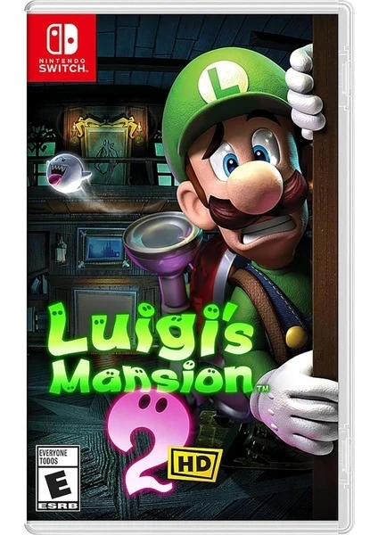 NINTENDO SWITCH OYUN LUİGİS MANSİON 2
