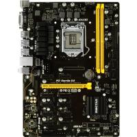 2.EL Biostar TB250-BTC PRO Intel LGA1151P DDR4 Anakart (Toplam 8 Pcı Soketi mevcut)