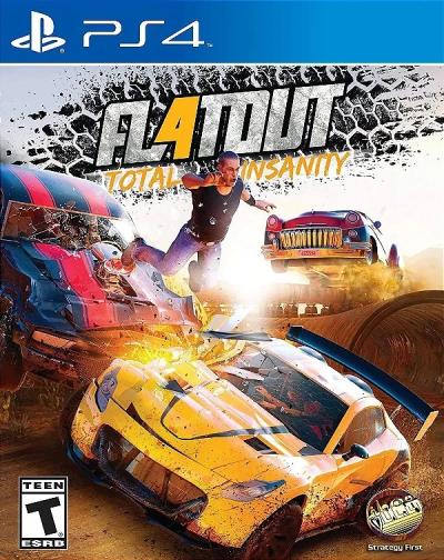 2.EL PS4 OYUN FLATOUT TOTAL INSANITY