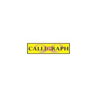 CALLIGRAPH EPSON ERC 27 SERİT