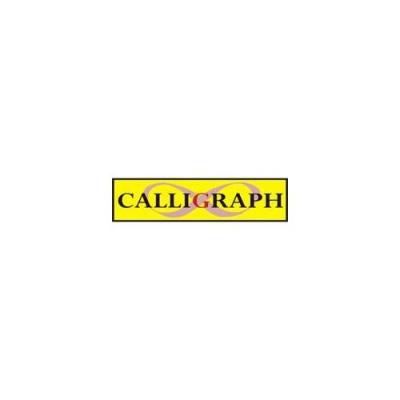 CALLIGRAPH EPSON ERC 27 SERİT