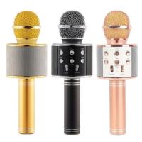 POLYGOLD PG-112 KARAOKE MİKROFON