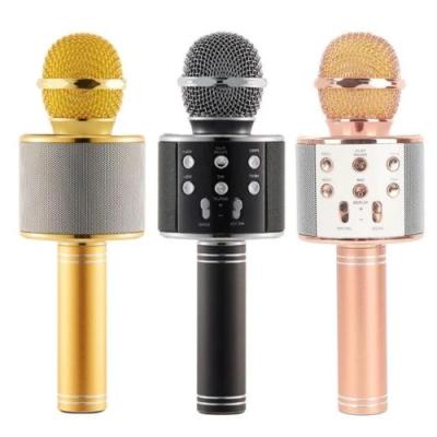 POLYGOLD PG-112 KARAOKE MİKROFON