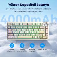 Aula AU75 3 Modlu Mekanik Gaming Kablosuz Klavye RGB TKL Bloomfield Switch Hot Swap Makrolu Oyuncu Klavyesi Krem