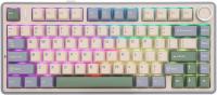Aula F75 Mekanik Rgb Tkl Gray Switch Kablosuz Makrolu Hot Swap Klavye Pastel
