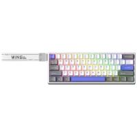 Aula Win60 He Max Manyetik Klavye Rapid Trigger Wing Chun Switch 8000Hz RGB TKL Hot Swap Oyuncu Klavyesi Mavi