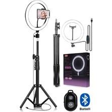 BLİC  F8810 PROFFESSIONAL TRIPOD